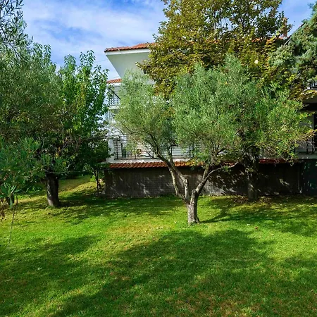 Newstory 4* Ποσείδι