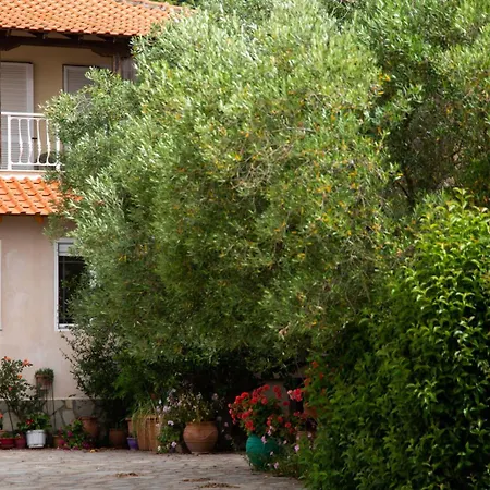 Newstory Ξενοδοχείο με διαμερίσματα Ποσείδι