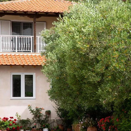 Newstory 4* Ποσείδι